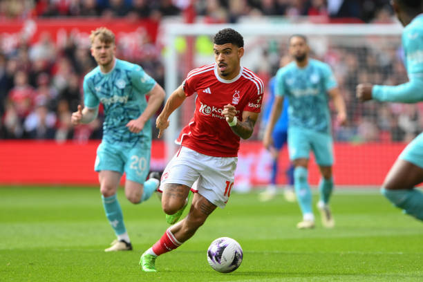 意识得到明 意识得到明